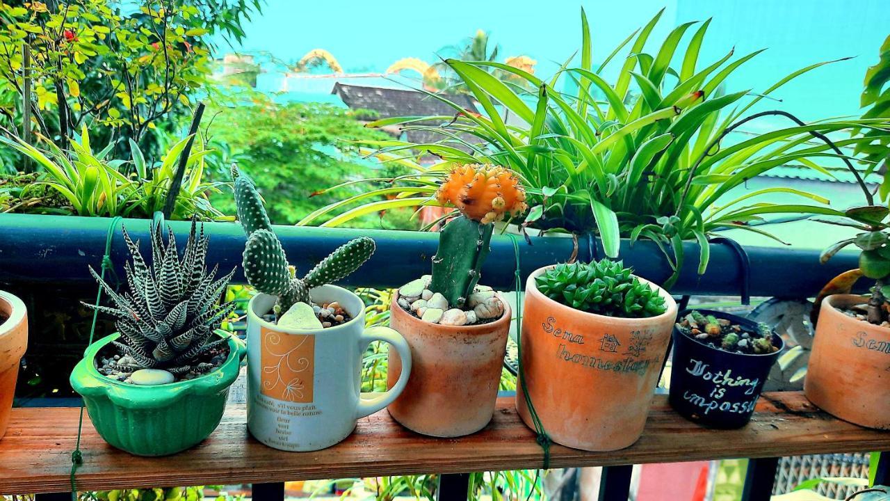 Sena home 2nd*near Danang Han river*Dragon bridge Bagian luar foto